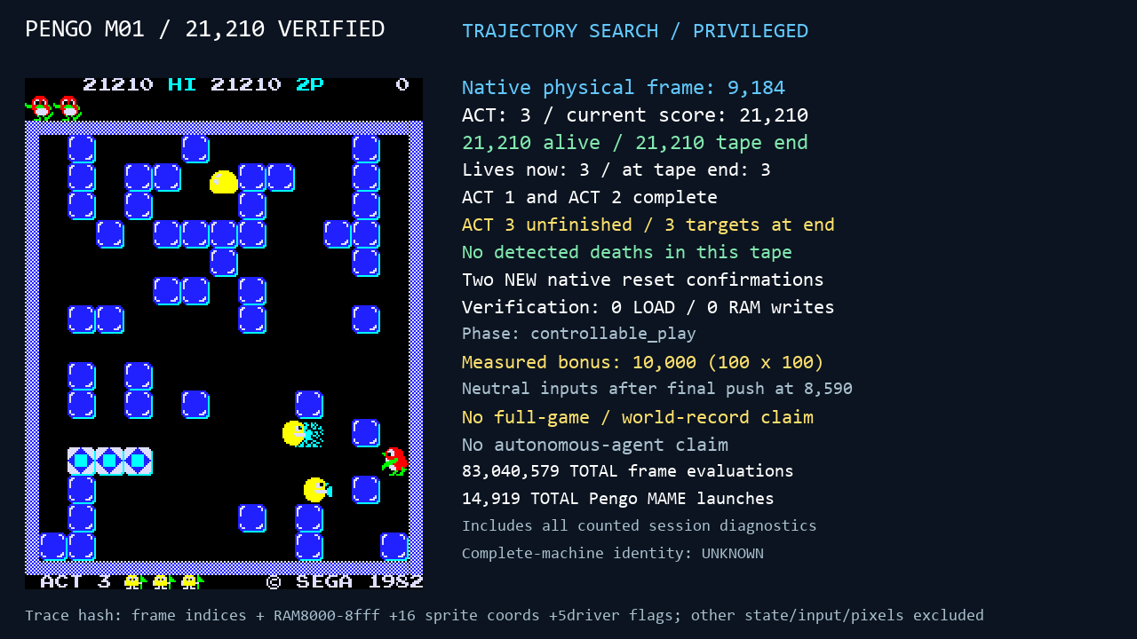 Pengo experiment capture